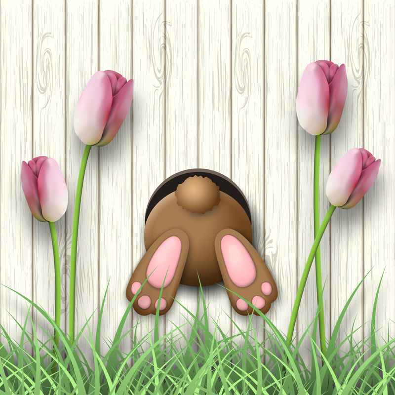 复活节动机，兔子底，粉红色郁金香和白色木质背景上的新鲜草，插图