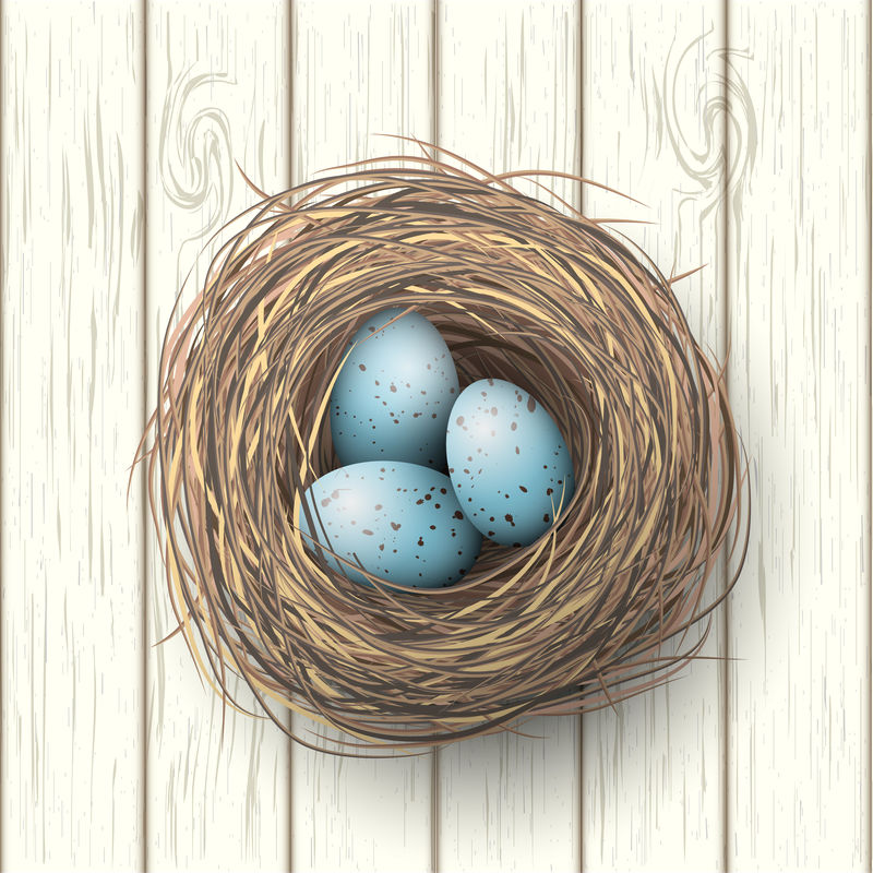 白色木质背景上的蓝蛋巢，插图