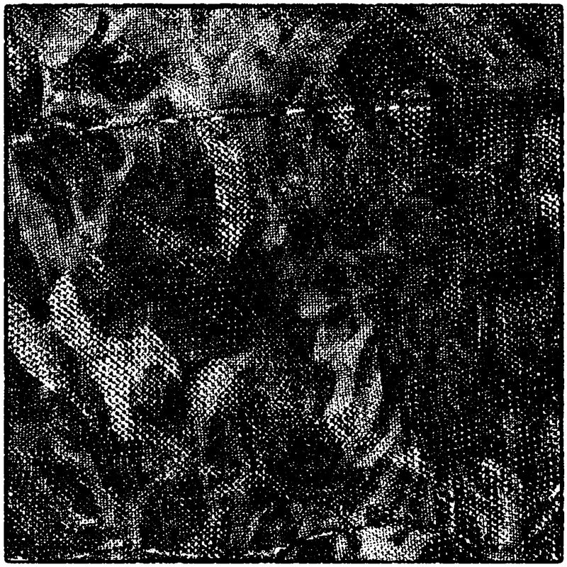 单色垃圾背景。矢量黑白纹理