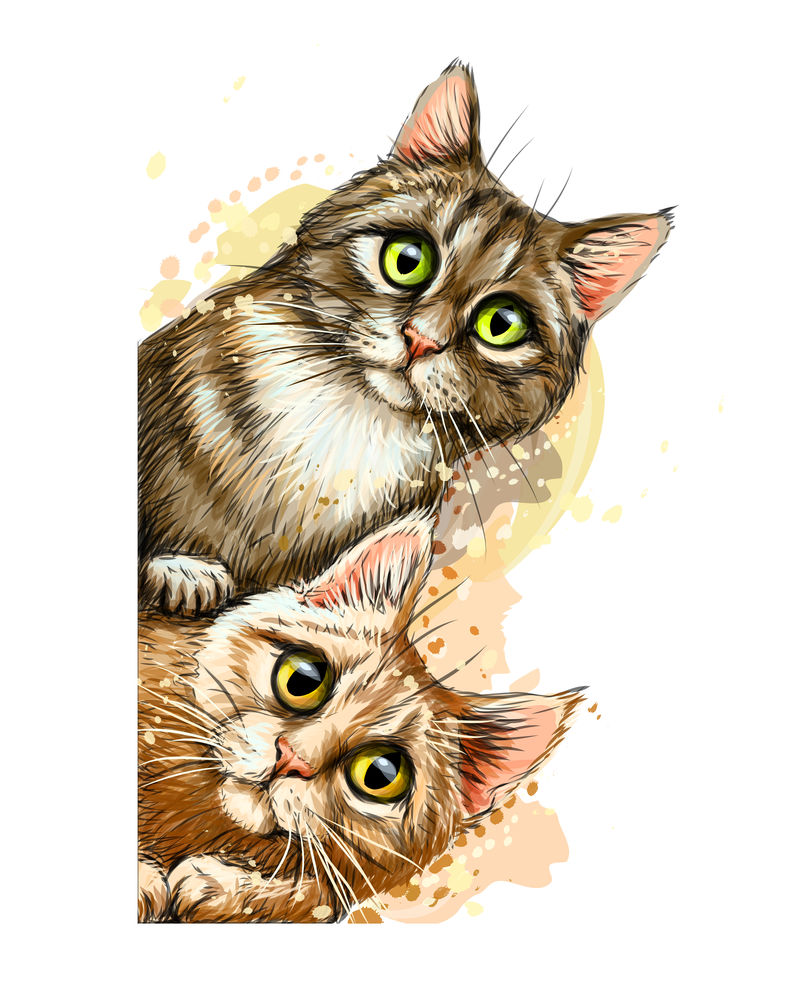 墙贴-手绘的带有水彩图案的彩色素描-描绘了两只可爱的猫在拐角处的样子