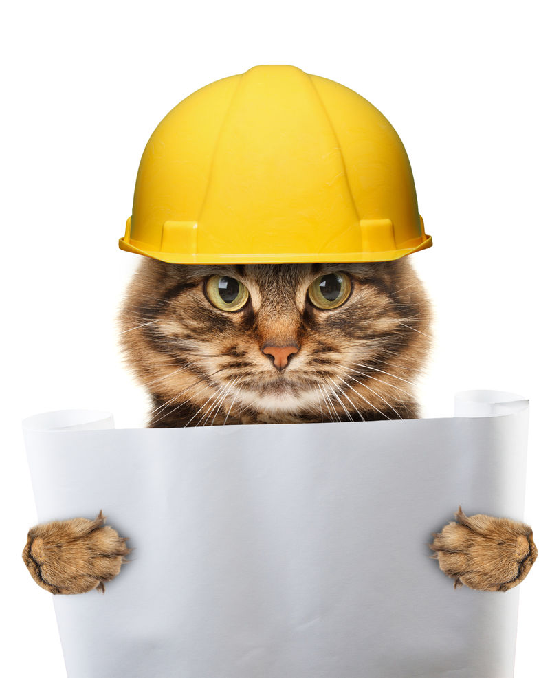 白底工匠猫