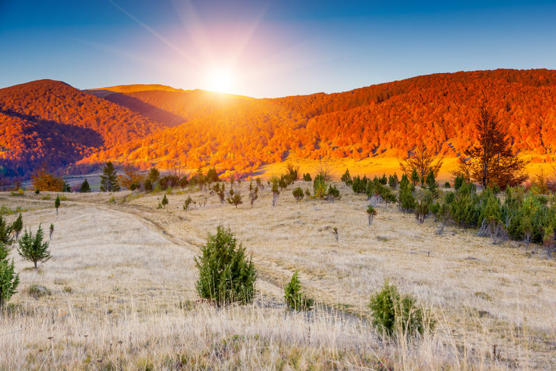 清晨的天空下-阳光明媚的山峦尽收眼底-戏剧性的景色-秋天的红叶-喀尔巴阡-乌克兰-欧洲-美丽世界-复古过滤-Instagram调色效果