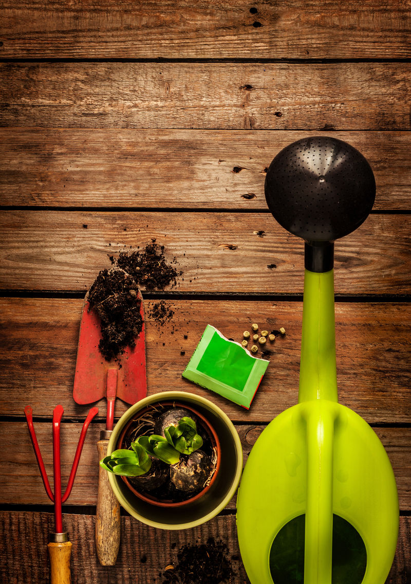 园艺工具、浇水罐、种子、植物和土壤在古董木桌上-春天在花园概念的背景下有免费的文字空间