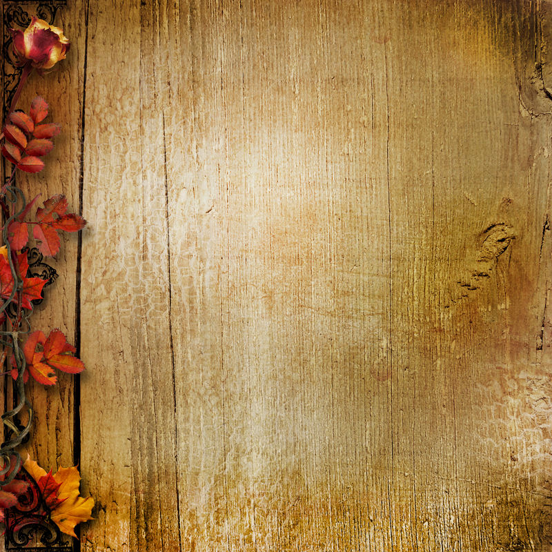 带秋叶的古典木背景素材 高清图片 摄影照片 寻图免费打包下载