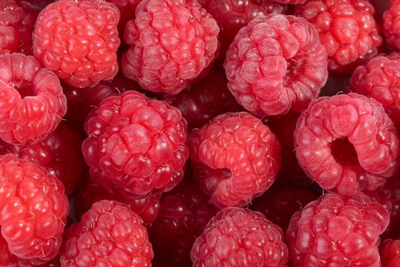 一堆成熟的树莓