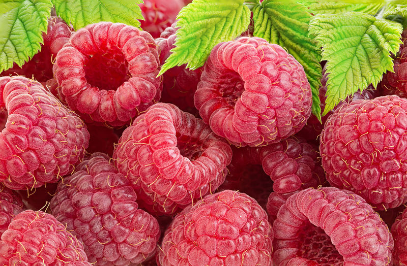 图片素材 以叶子特写作为背景的成熟树莓水果 Jpg格式 未来素材下载