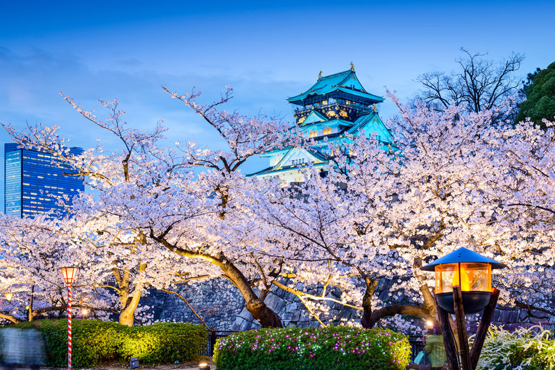 大阪-日本在大阪城堡的春天