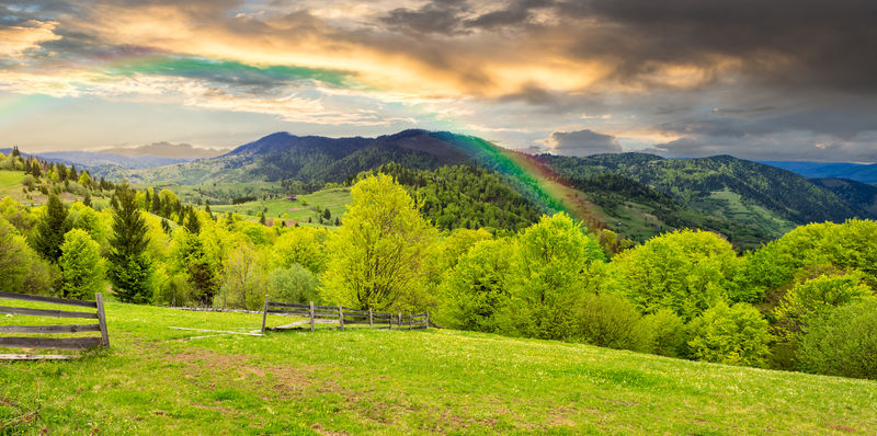 夏季全景景观-山坡上草地小道旁的栅栏-晨光迷雾中的山林彩虹