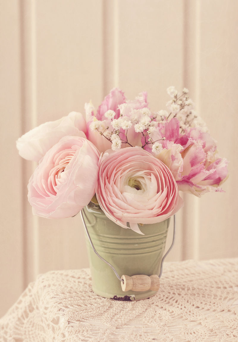 白色木质背景上的粉红色毛茛花