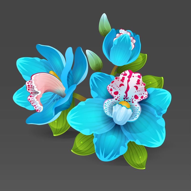 蓝色的兰花