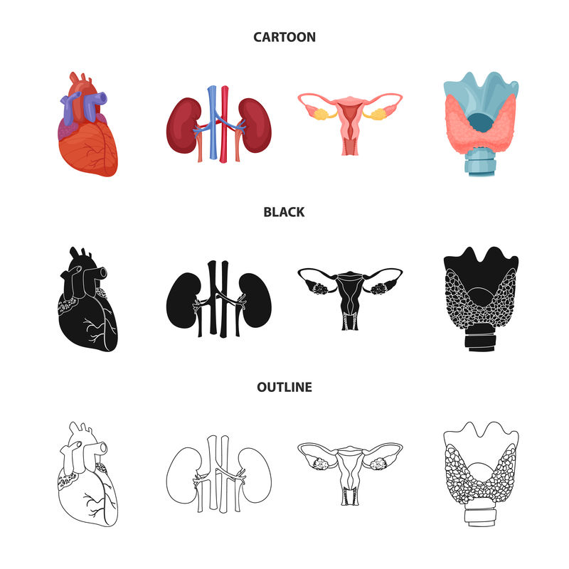 人体和人体标志的矢量设计-用于Web的身体和医疗库存符号集