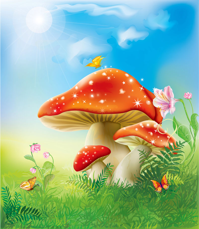 红神奇蘑菇