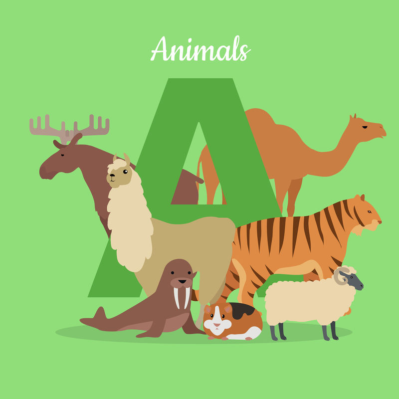 平面设计中的动物字母概念