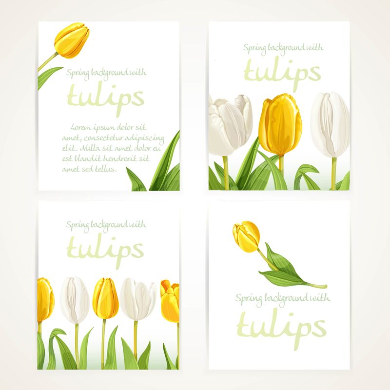 黄色和白色郁金香在四个垂直的空白横幅上设置在