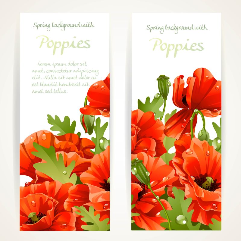 白色背景下两个垂直空白横幅上的红色罂粟花