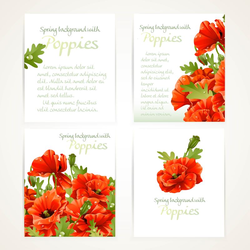 四个垂直空白横幅上的红色罂粟花，白色背景