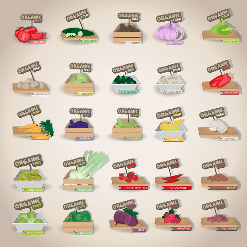 蔬菜图标集-独立于灰色背景-矢量插图-图形设计可为您的设计编辑