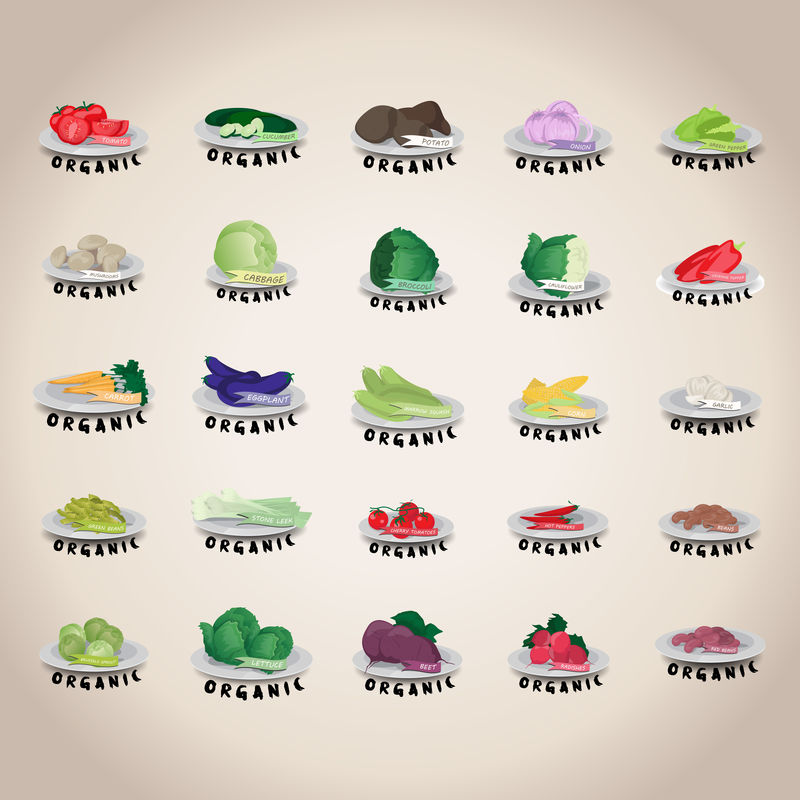 蔬菜图标集-独立于灰色背景-矢量插图-图形设计可为您的设计编辑