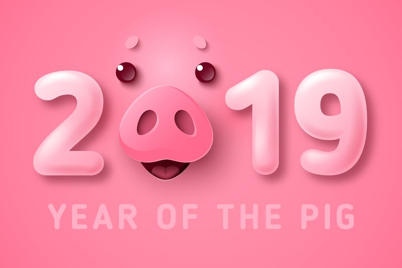 可爱有趣的猪脸为2019年中国新年粉红背景-贺卡和日历设计-矢量图