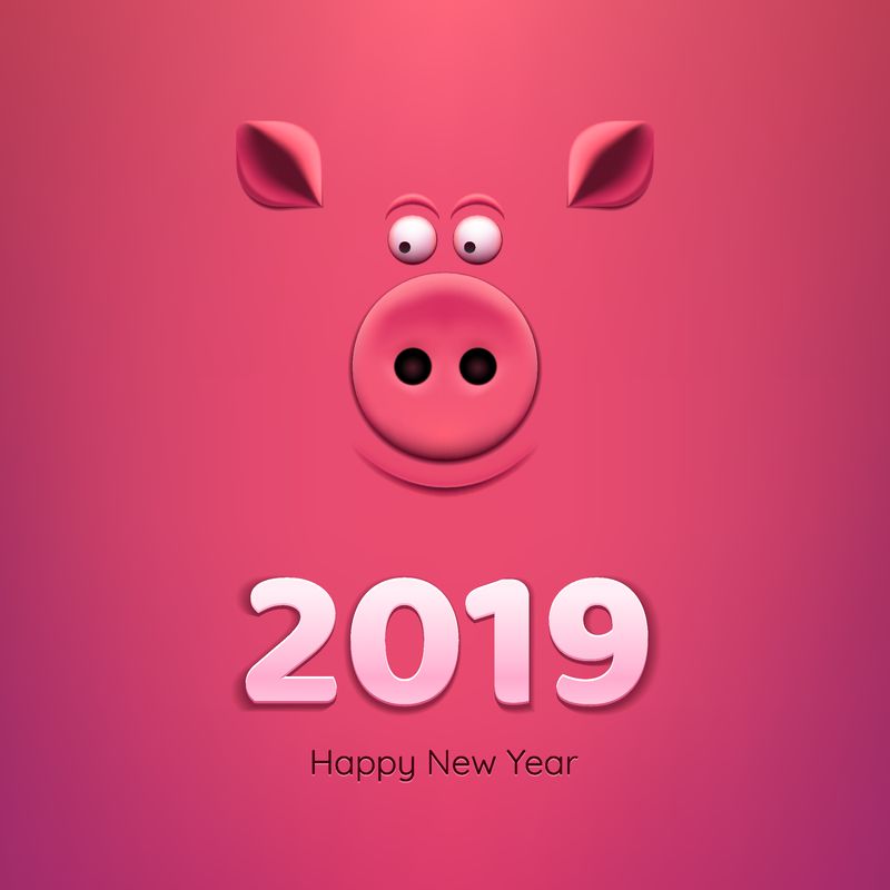 条幅纸-粉红色背景下有猪的鼻子-2019新年