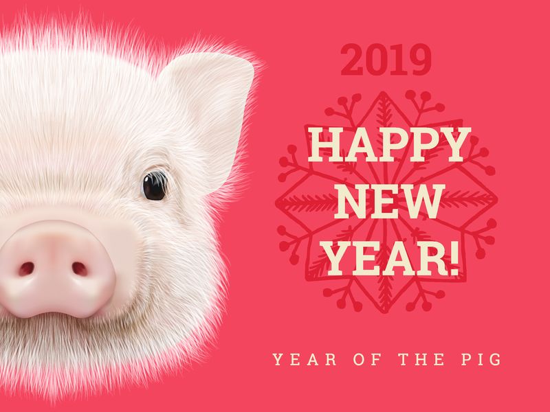 2019年猪年纸卡新年快乐-中国年份符号、贺卡、传单和邀请函的十二生肖标志