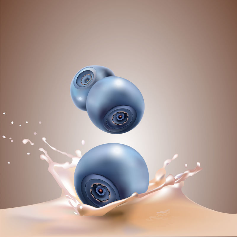 矢量蓝莓与牛奶