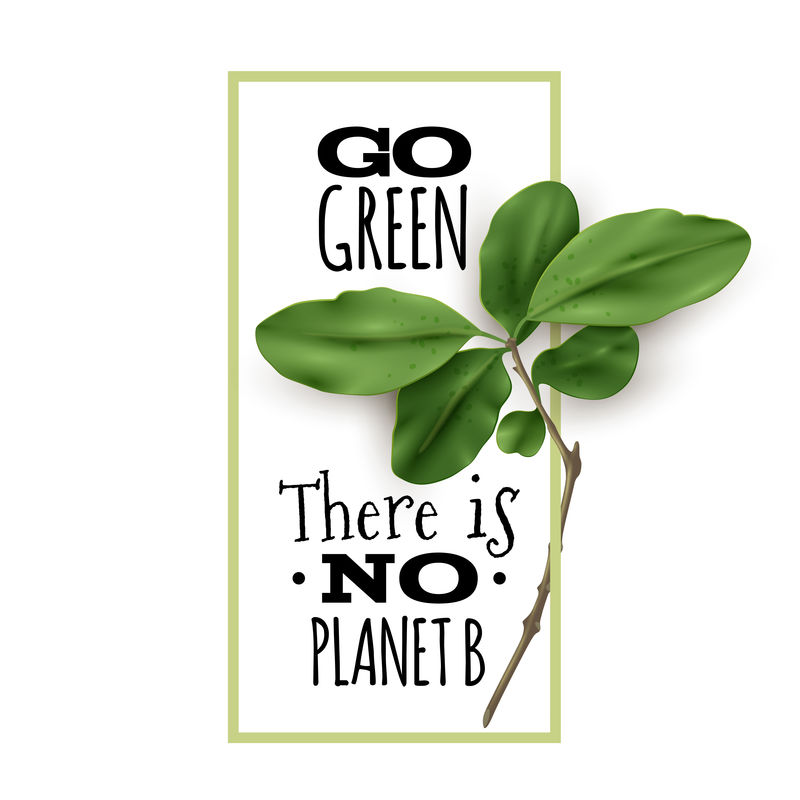 生态植物学海报