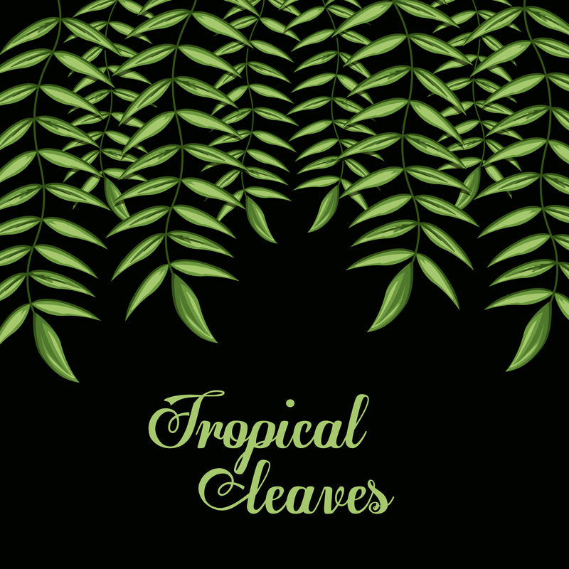 热带树叶设计