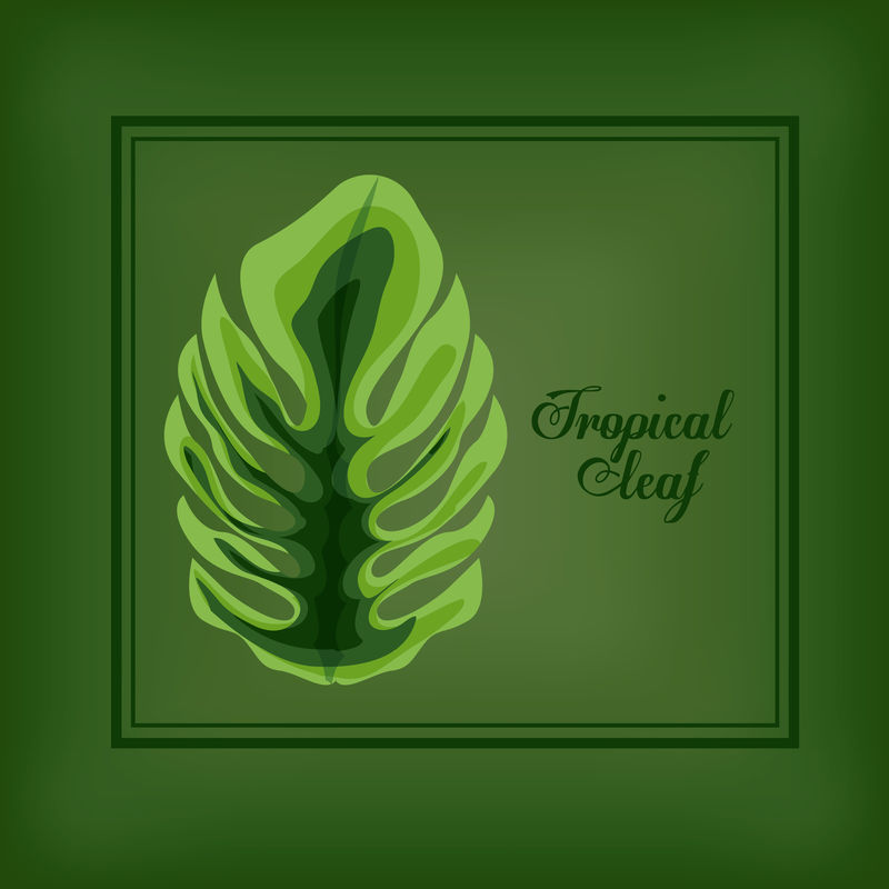 热带树叶设计