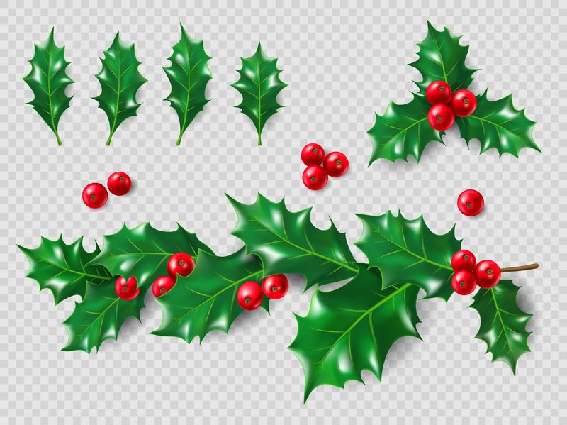 荷莉套装-逼真的树叶-树枝-红色浆果-圣诞节和新年装饰品-布局设计的三维插图