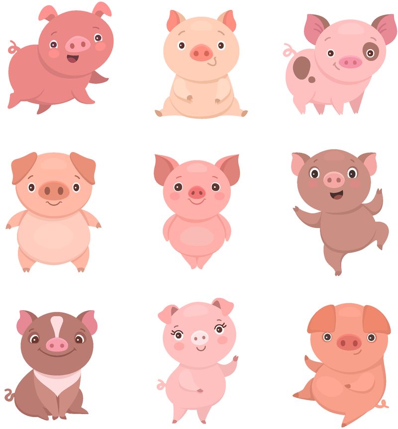 可爱的小猪收藏-不同姿势有趣卡通猪的矢量图-白色隔离