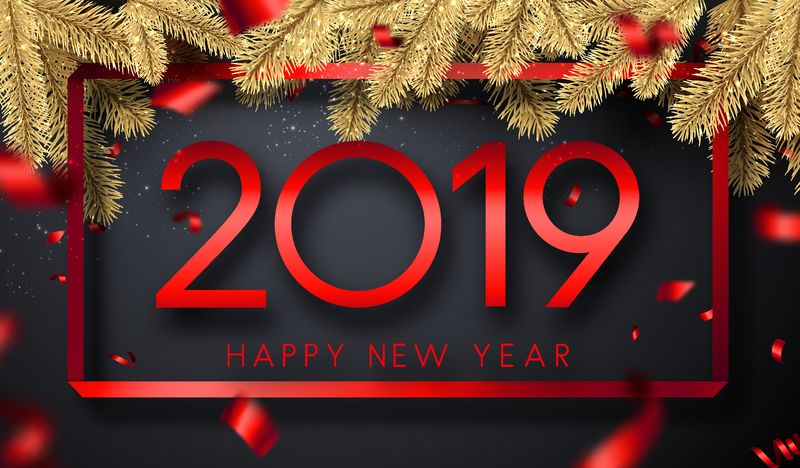 2019新年快乐贺卡-框架-冷杉枝和红色模糊的五彩纸屑-矢量背景