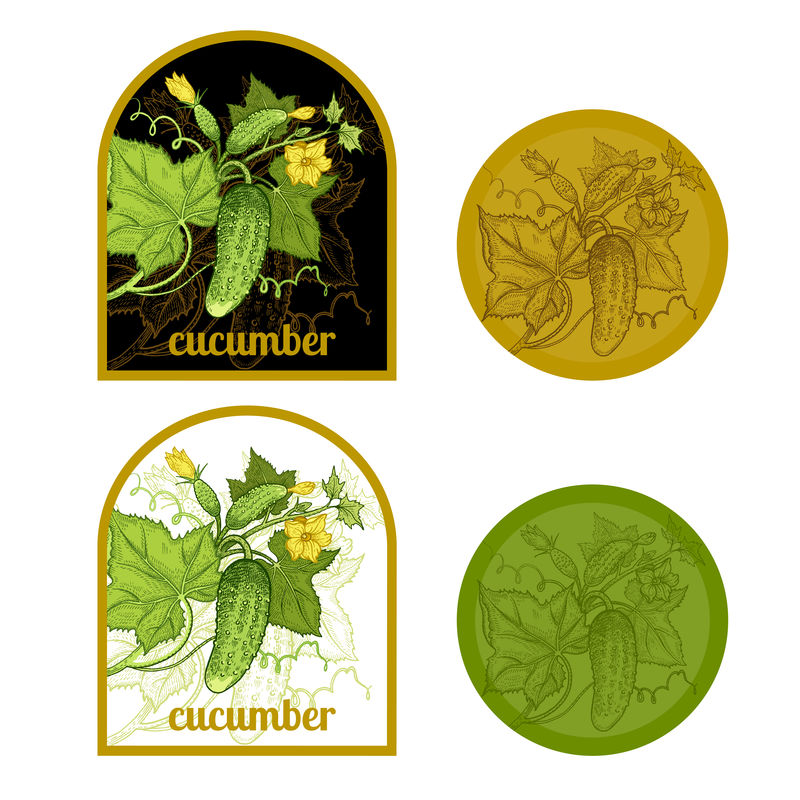 一组带有黄瓜图像的标签。
