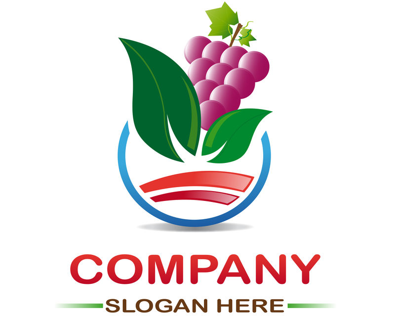 矢量有机食品标签