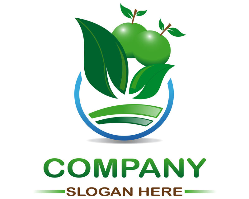 矢量有机食品标签