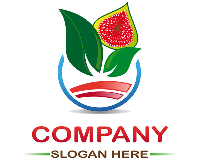 矢量有机食品标签