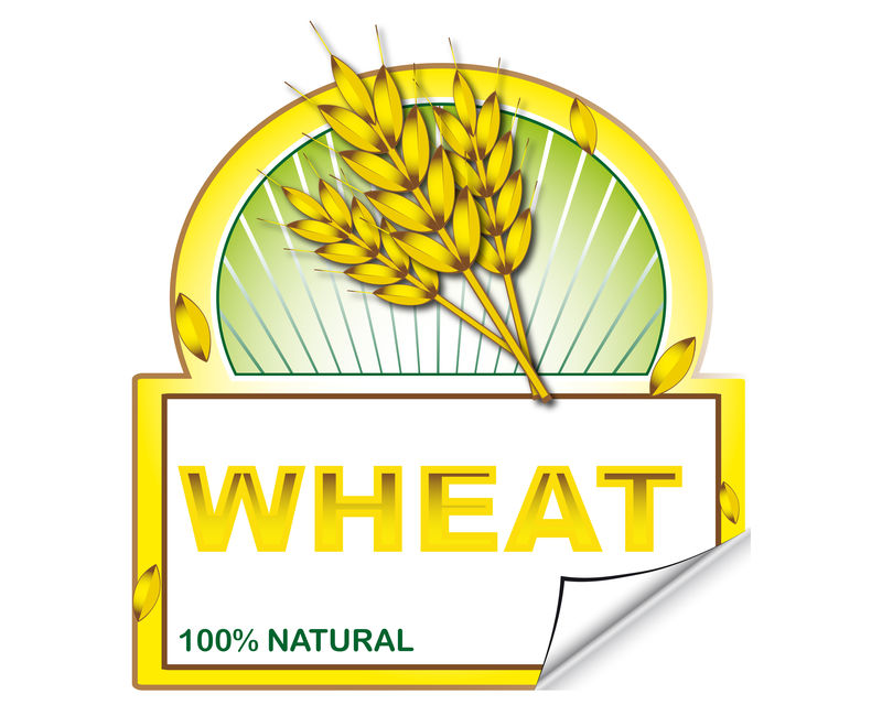 矢量有机食品标签