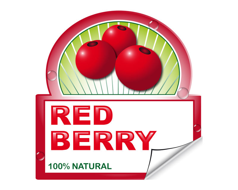 矢量有机食品标签