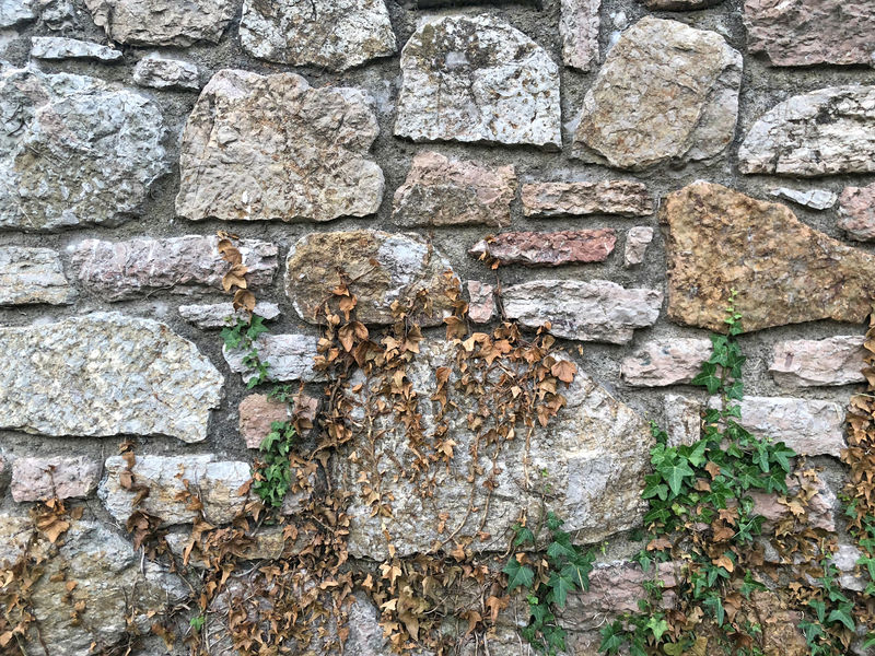 塞尔维亚贝尔格莱德要塞的旧石墙