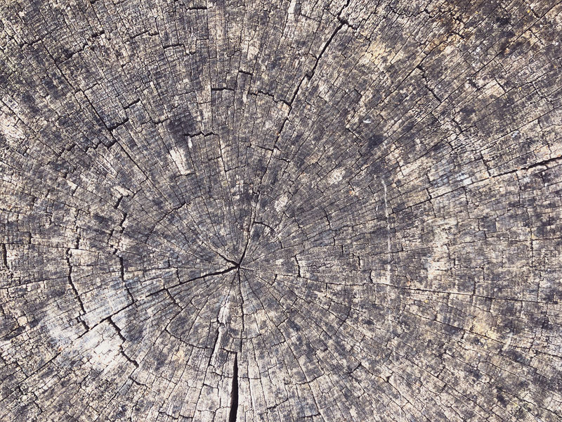 木质纹理-图像包括黑白色调的效果