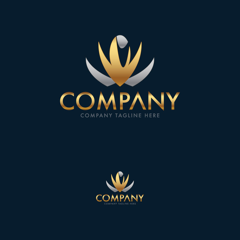 豪华钻石和珠宝标志模板