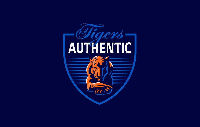 一只平静的老虎低着头躺着-矢量图