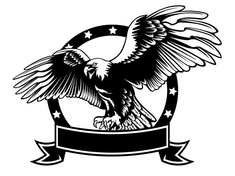 美国老鹰标志含义图片