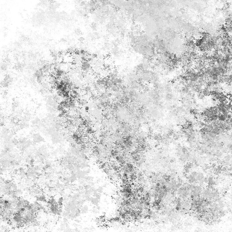 黑白纹理背景图像