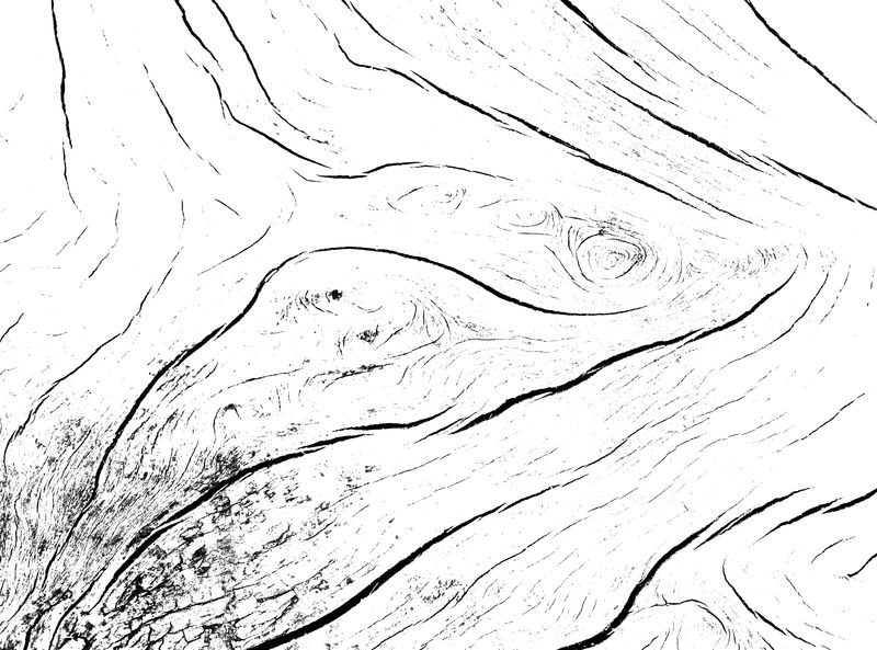 木材纹理背景老苍白划伤面板