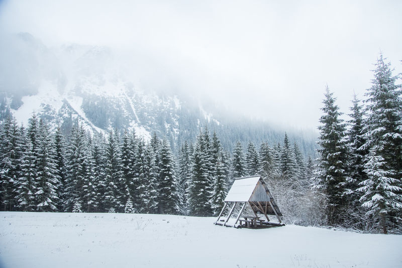美丽的冬季森林景观，远处群山环绕。斯洛伐克塔特拉山脉西部
