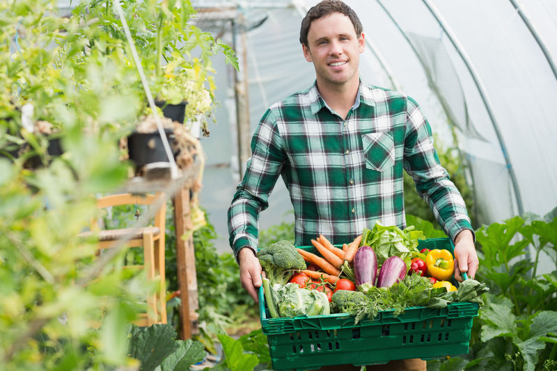 骄傲的男人在一个挂着篮子的温室里展示蔬菜