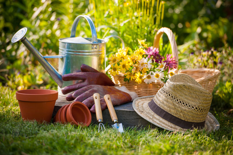 花园里的园艺工具和草帽