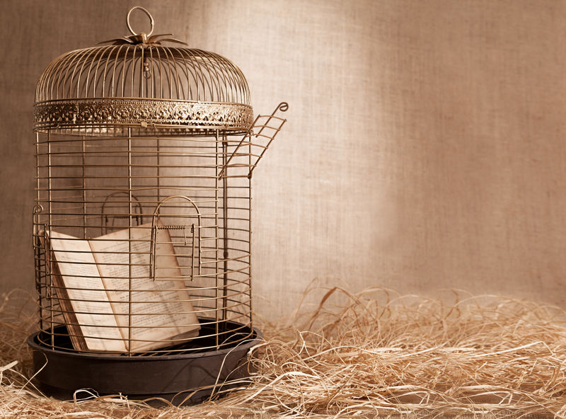 古书被囚禁在肮脏背景下的金色鸟笼里