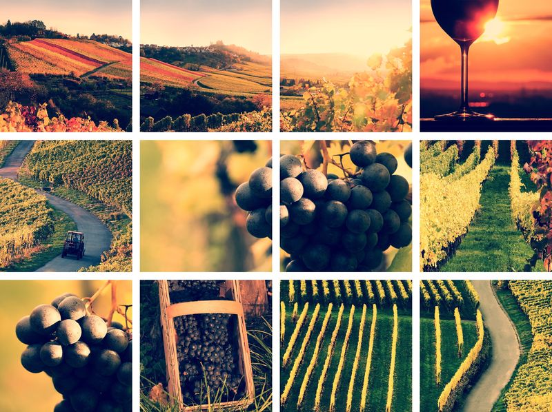 乡村葡萄酒拼贴复古风格